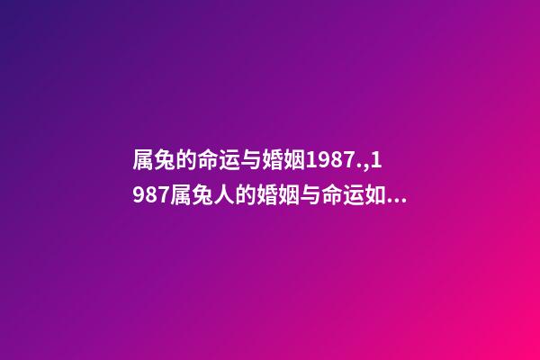 属兔的命运与婚姻1987.,1987属兔人的婚姻与命运如何 87年属兔35岁2022婚姻-第1张-观点-玄机派